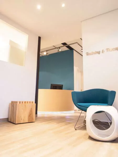 Praxis für Therapiesport Hamburg Norderstedt